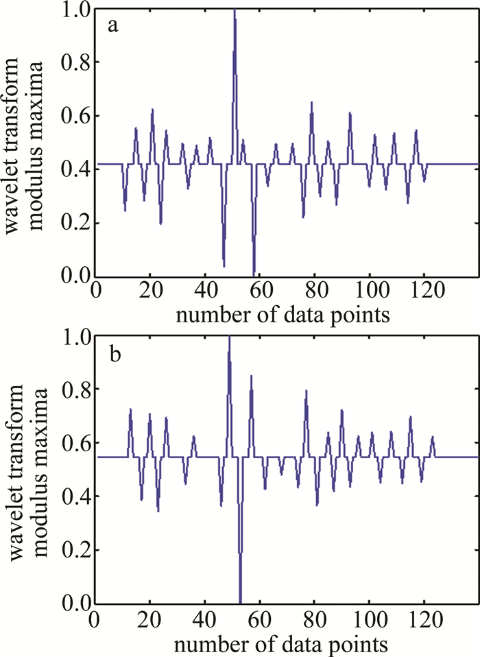 Figure 12. Wavelet transform modulus maximum result