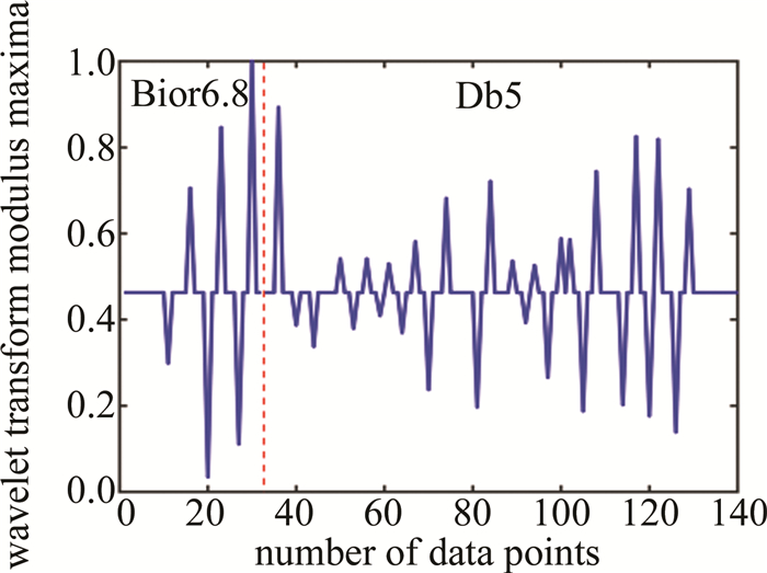Figure 9. Wavelet transform modulus maximum result